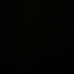 Meet your Posher, Isabella